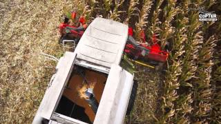 Luftvideo Maisdreschen Claas Lexion 550 [upl. by Lamson]