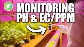 Optimal Hydroponic pH and ECPPM Essential Tips for Beginners [upl. by Eerbua192]