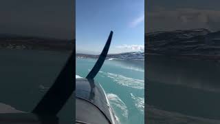 Four Peak Volcano and Glacier katmai bushpilot glacier alaska adventure [upl. by Aerahs]