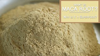 What is Maca Root and Why is It a Superfood [upl. by Valerlan]