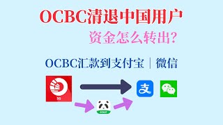 OCBC清退中国用户｜OCBC关户 ｜OCBC资金怎么回国 ｜ 免手续费实时汇款到支付宝、微信｜熊猫速汇新币回国 [upl. by Grindlay]