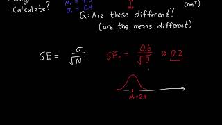 Standard Error of the Mean Tutorial [upl. by Nierman141]