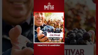 Welcome to “Battle of the Wines” Cantine Paolo Leo 🍷 of Puglia 🇮🇹 [upl. by Betteann]