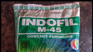 Fungicide  MANCOZEB 75 WP  Indofil M 45 [upl. by Adekram228]