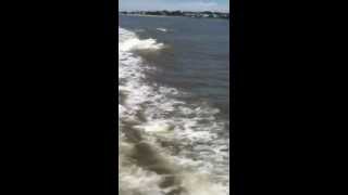 Captain Dereks Dolphin Adventure on Tybee Island [upl. by Analaf]