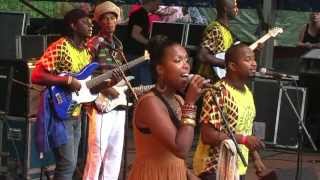 Super Mama Djombo  8  LIVE at Afrikafestival Hertme 2012 [upl. by Sosna314]