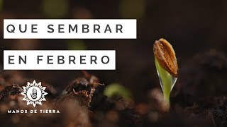 Que Sembrar En FEBRERO calendario de siembrahemisferio norte y sur [upl. by Keefe]