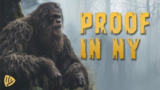 Proof of Bigfoot in Upstate New York [upl. by Phillane]