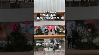 PLAVE 팝업 스토어 투명 LED Techplus 625 pitch [upl. by Marsland99]