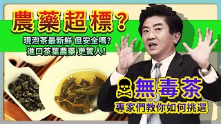 農藥超標？現泡茶最新鮮 但安全嗎？進口茶葉農藥更驚人！？專家們教你如何挑選無毒「茶」│《經典好節目》健康NO1精選版回顧系列 [upl. by Etakyram]