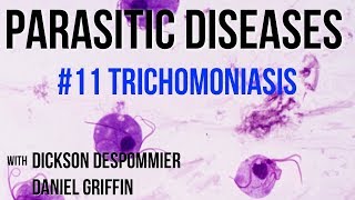 Parasitic Diseases Lectures 11 Trichomoniasis [upl. by Ahsenot254]