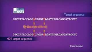 Which Quencher Molecule is Best for TaqMan® Probes in RealTime PCR  Ask TaqMan® Ep 3 [upl. by Ardnuat]