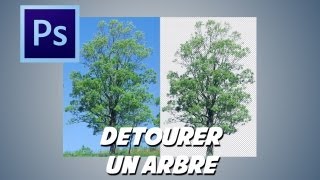 photoshop détourer un arbre [upl. by Ezeerb470]