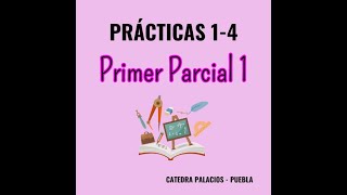 Primer parcial – Modelo 1 [upl. by Verlie809]