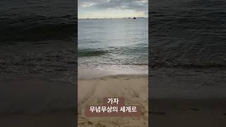 서해 바다 묵직히 밀려오는 물결이 데려다 줄 것이다 무념무상의 세계로 [upl. by Sezen]