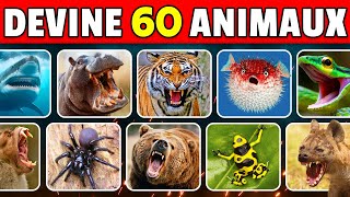 Devine 60 ANIMAUX DANGEREUX en 3 secondes 🐍🦈🐯  FACILE à IMPOSSIBLE [upl. by Henigman]