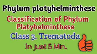 Phylum platyhelminthese classificationTrematodes ClassificationTrematode Character Trematodes [upl. by Cello]