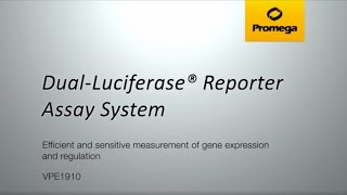 DualLuciferase® Reporter Assay System [upl. by Tertia]