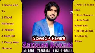 Best of Zeeshan RokhriTrending Songs 2024 Zeeshan Rokhri new Songs Collection2024Slowed Studio🎵 [upl. by Moffit808]