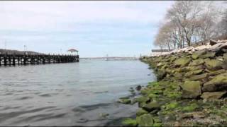 Harmful Algae Found in Northport LI Waters April 2011 [upl. by Aistek]