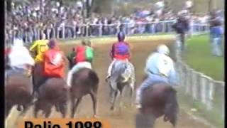 Palio Di Fucecchio 1988 [upl. by Enivid398]