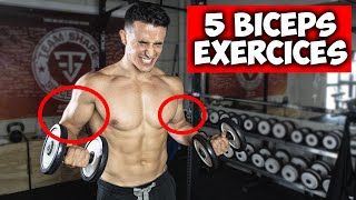 Des bras plus gros en 30jours  5 exercices biceps [upl. by Leifer]