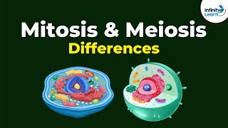 Mitosis Vs Meiosis  Differences  Infinity Learn [upl. by Stieglitz]