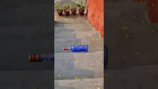 Blue vs Yellow glass bottles breaking Crushing Crunchy amp soft things shorts asmr satisfying [upl. by Annaynek]