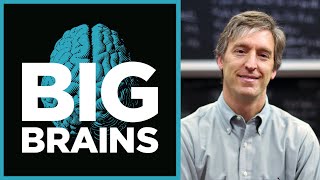 Freakonomics’ Steven Levitt on the secret to making tough choices [upl. by Pam]