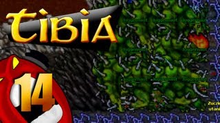 PROGRAMA TIBIANO 14  EPIC TIBIA JOGADAS [upl. by Tedd]