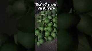 Green Coconut Supplier 98309898669038522734 [upl. by Hctud449]