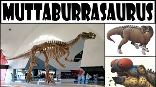 Muttaburrasaurus Bemutatása  Magyarul [upl. by Mccormac]