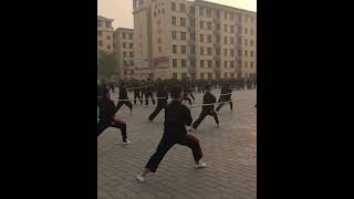 First Moves of Shaolin Shao Huo Gun [upl. by Blondelle]