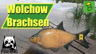 Russian Fishing 4  Wolchow  Spot  Brachsen Trophy Spot [upl. by Halliday987]