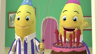 Party Time Compilation  Full Episodes  Bananas in Pyjamas Official [upl. by Arnst]