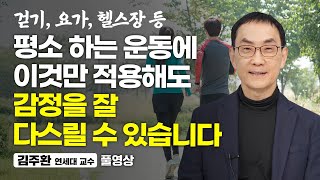 감정에 휘둘리지 않는 가장 현실적인 방법 김주환 연세대 교수 풀영상 [upl. by Novrej771]