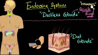 Endocrine system major hormones amp functions  Control amp Coordination  Biology  Khan Academy [upl. by Enaasiali]