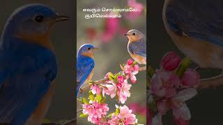 Thendral vanthu theendum song lyricsIlayarajaavatharam [upl. by Fugate]