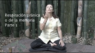 Respiración pránica o de la memoria  Parte 1 [upl. by Atteuqram198]