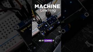 Training a Model Machine Learning intelligence machinelearning ai [upl. by Amikay]