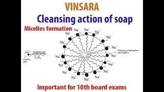 10TH ch4 topic cleansing action of soap Micelle formation [upl. by Bryant566]