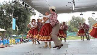 Bailando El Tololoche [upl. by Ilzel]