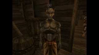 Ultimate Morrowind Guide  Character Creation [upl. by Daas]