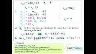 Suite Géométrique [upl. by Delanos]