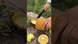 World’s Most Effective Bowie Knife  Fruit Ninja 🕺🏻 [upl. by Tserof]