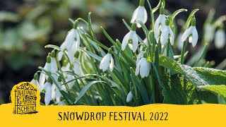 The National Garden Scheme Snowdrop Festival 2022 [upl. by Hudson733]