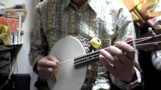 Vega Little Wonder Mandolin Banjo tuned in octave below GDAE [upl. by Eissat990]