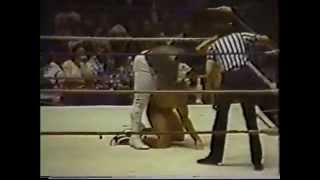 Ric Flair vs Koko Ware NWA World Heavyweight Championship [upl. by Robi]