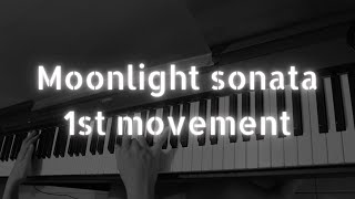 Beethoven  Moonlight Sonata 1st movement [upl. by Lonna]