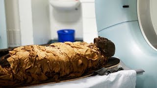 RESEARCHERS FIND MUMMY VOICE MEME [upl. by Olihs]